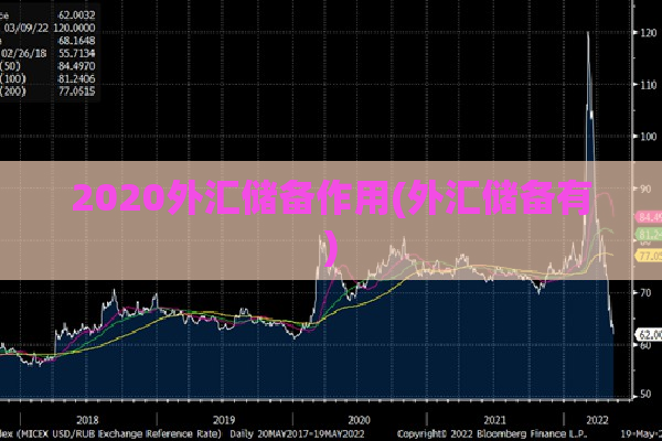 2020外汇储备作用(外汇储备有)